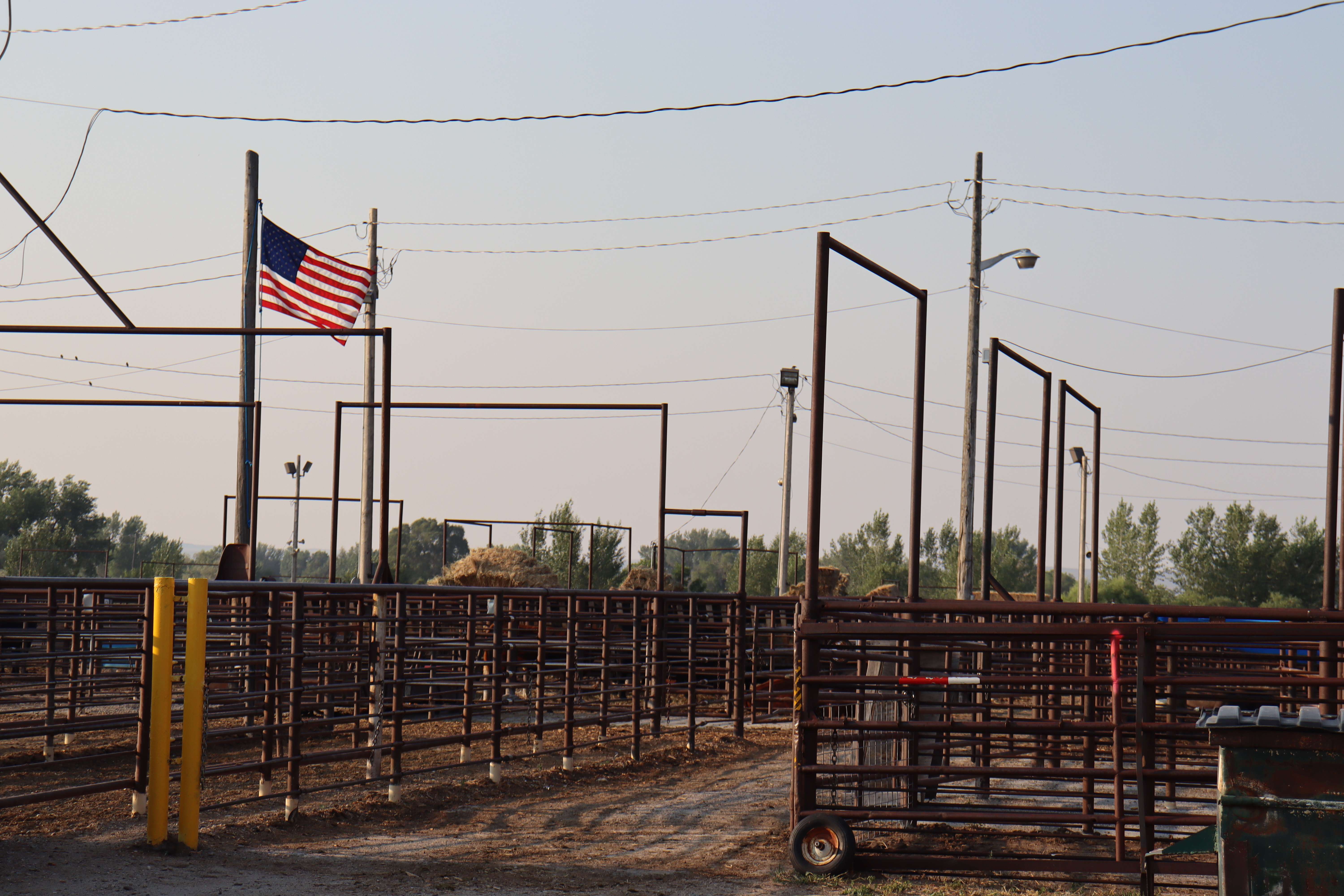 Riverton Livestock sale yard pens with steel corral panels and an American flag at sunrise